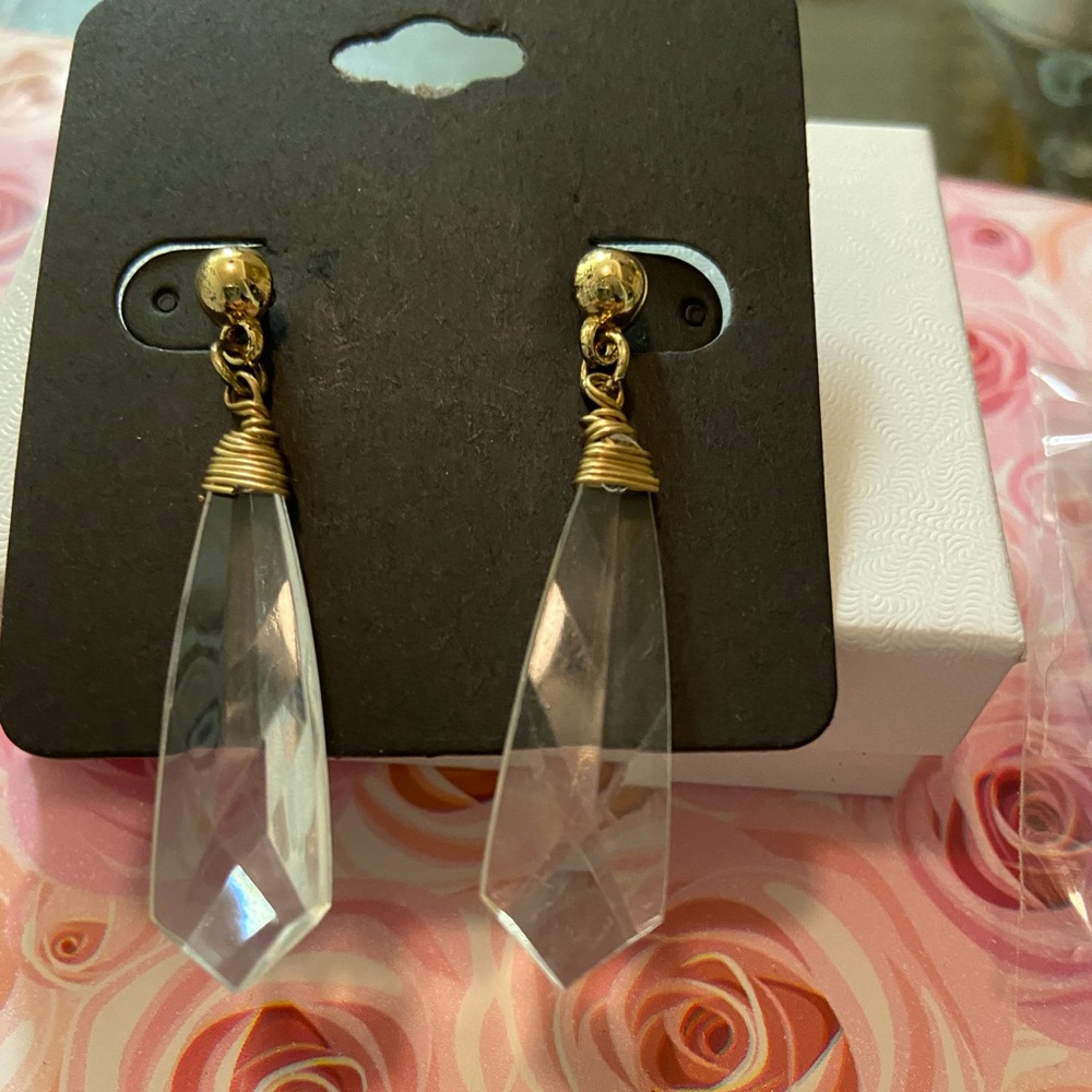 NWT Drop Earrings! Clean & Smoke-Free home.